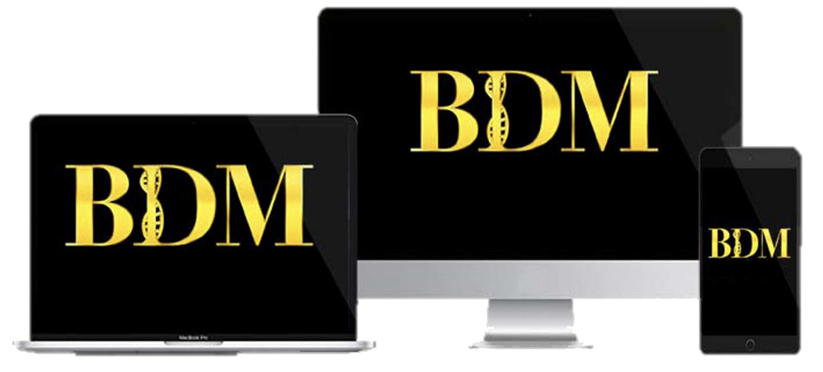 img-bdm